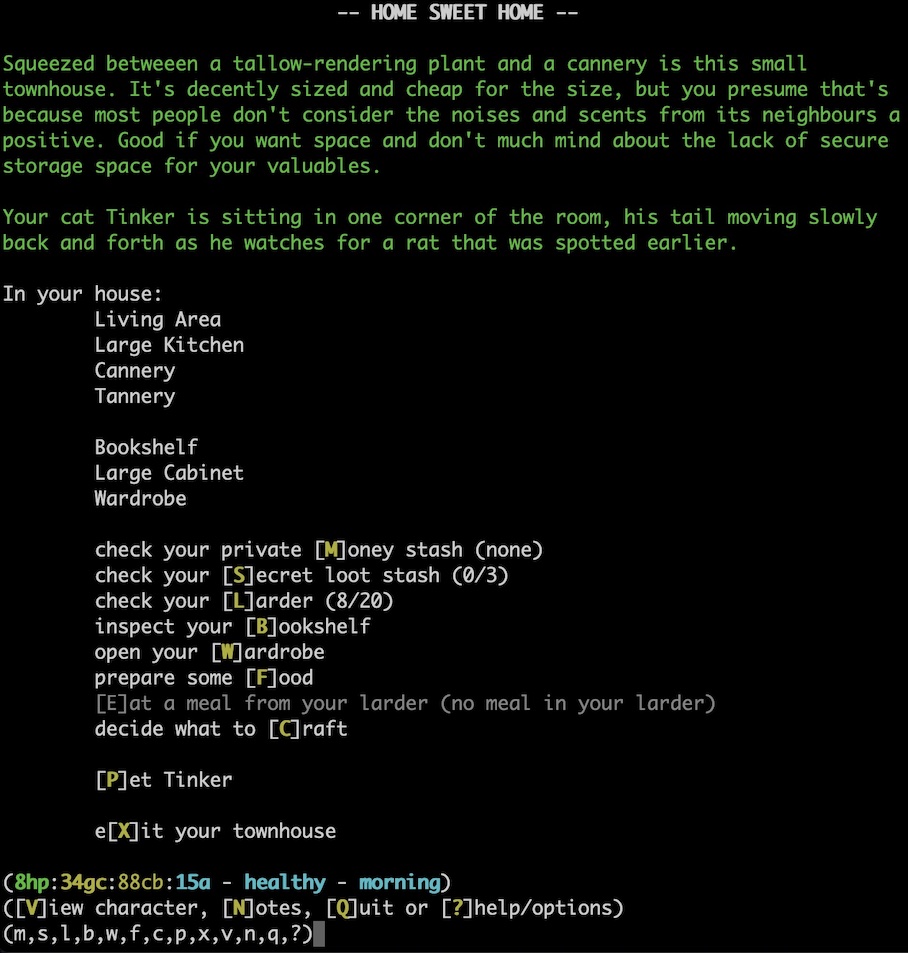 A depiction of a player's house, showing that they have, amongst other things, a large kitchen, a cannery and a tannery, all in their townhouse. There are options to do things such as checking their money stash, a loot stash, organise their larder or put books on their book shelf.